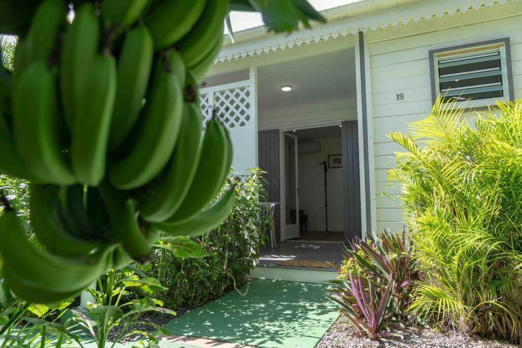 Perle Des Caraibes, Bungalow Moderne N°18 Le Gosier  Exterior foto